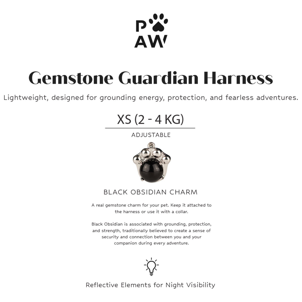 PAW - XS (2-4Kg) Dog Step-in Guardian Harness with Reflective Mesh - Rock Grey - Black Obsidian Charm