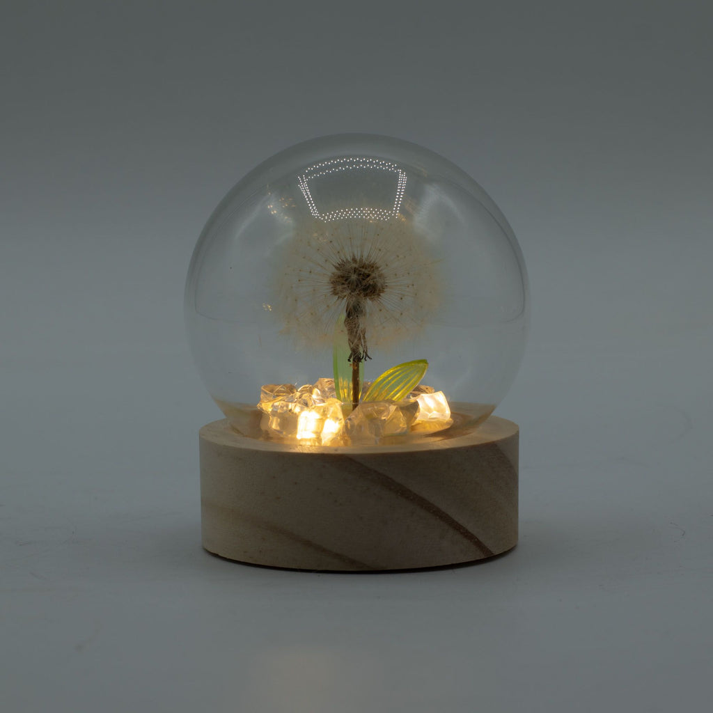 Floral Glow Garden Dome - 1 Dandilion- LED Battery